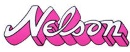 logo BROVEX-NELSON