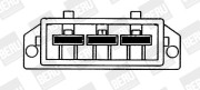 LE001 Ventilátor chladenia motora BorgWarner (BERU)