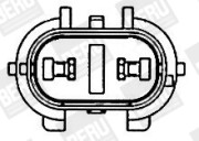 LE540 Ventilátor chladenia motora BorgWarner (BERU)