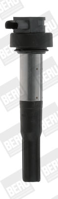 ZS386 Zapaľovacia cievka BorgWarner (BERU)