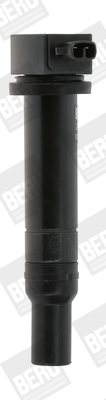 ZS481 Zapaľovacia cievka BorgWarner (BERU)