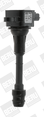 ZSE080 Zapaľovacia cievka BorgWarner (BERU)