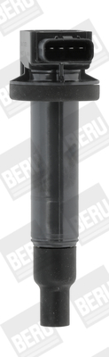 ZSE165 Zapaľovacia cievka BorgWarner (BERU)