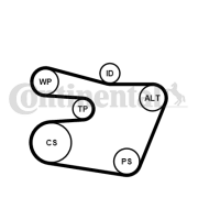 6PK1538K1 Ozubený klinový remeň - Sada CONTINENTAL CTAM