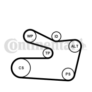 6PK1733K2 Ozubený klinový remeň - Sada CONTINENTAL CTAM