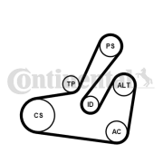 6PK1795K2 Ozubený klinový remeň - Sada CONTINENTAL CTAM