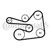 6PK1830K1 Ozubený klinový remeň - Sada CONTINENTAL CTAM