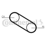 CT667 Ozubený remeň CONTINENTAL CTAM