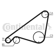 CT752 Ozubený remeň CONTINENTAL CTAM