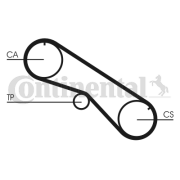 CT818 Ozubený remeň CONTINENTAL CTAM