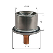 TH51287G1 Termostat chladenia GATES