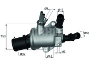 TI 143 88 Termostat chladenia BEHR