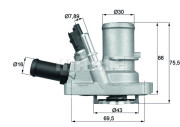 TI 144 88 Termostat chladenia BEHR