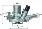 TI 151 80 Termostat chladenia BEHR