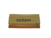 CA10599 Vzduchový filter FRAM