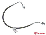 T 24 011 Brzdová hadica ESSENTIAL LINE BREMBO