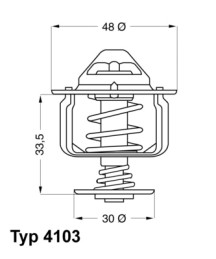 4103.82D Termostat chladenia BorgWarner (Wahler)