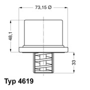 4619.86 Termostat chladenia BorgWarner (Wahler)