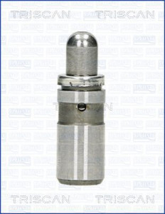 80-24010 Zdvihátko ventilu TRISCAN