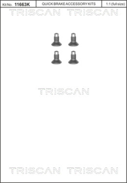 8105 116004 Skrutka brzdového kotúča TRISCAN