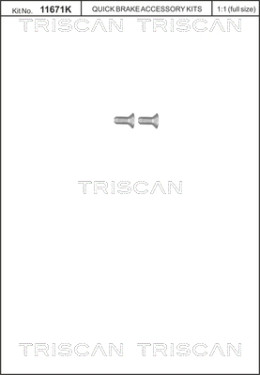 8105 116012 Skrutka brzdového kotúča TRISCAN