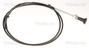 8140 91002 Hriadeľ vzduchovej klapky karburátora TRISCAN