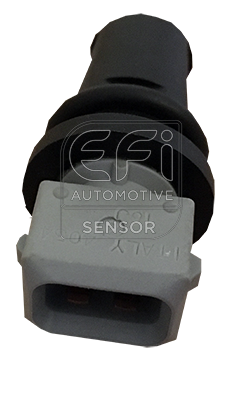 295196 Snímač teploty nasávaného vzduchu EFI - SENSOR EFI AUTOMOTIVE