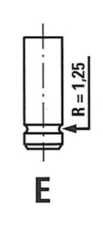 R6256/SCR Sací ventil FRECCIA