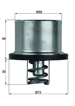 TX 37 79 Termostat chladenia Installation guide MAHLE