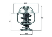 TX 177 82D Termostat chladenia Installation guide MAHLE