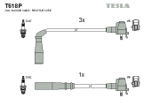 T618P Sada zapaľovacích káblov TESLA