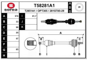 T58281A1 Hnací hriadeľ EAI