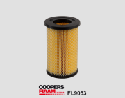 FL9053 Vzduchový filter CoopersFiaam