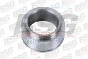 BSG 30-122-004 Tesniaci krúżok vlożeného hriadeľa BSG