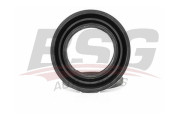BSG 30-251-014 Vodiaci čap brzdového strmeňa BSG