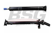 BSG 30-450-001 Kĺbový hriadeľ pohonu nápravy BSG