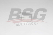 BSG 90-506-015 Chladič motorového oleja BSG