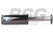 BSG 90-980-015 Plynová vzpera, kapota motora BSG