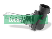 LLX9005BL żiarovka pre diaľkový svetlomet Lucas LUCAS