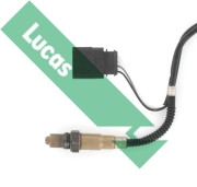 LEB482 Lambda sonda Lucas LUCAS