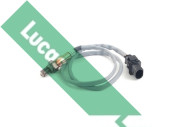 LEB5300 Lambda sonda Lucas LUCAS