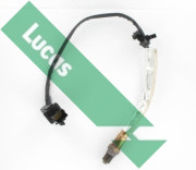 LEB987 Lambda sonda Lucas LUCAS