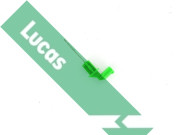 LLS5002 Snímač stavu chladiacej kvapaliny Lucas LUCAS