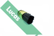 SNB1442 Snímač teploty chladiacej kvapaliny Lucas LUCAS