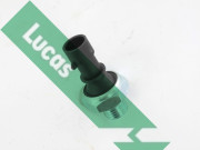 SOB709 Olejový tlakový spínač Lucas LUCAS