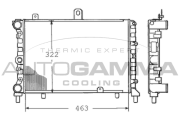 100450 Chladič motora AUTOGAMMA