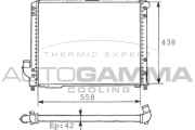 100466 Chladič motora AUTOGAMMA