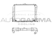 101275 Chladič motora AUTOGAMMA