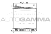 101315 Chladič motora AUTOGAMMA