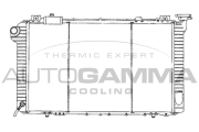 102191 Chladič motora AUTOGAMMA